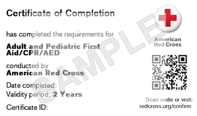 American Red Cross Pediatric